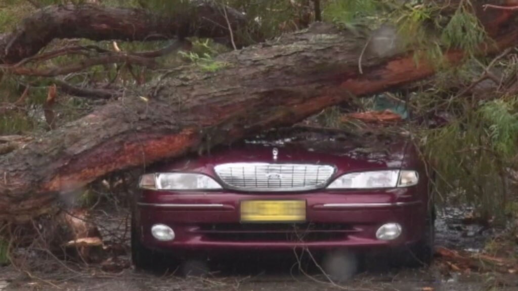 Wet and windy weather hits Sydney, Hunter and Illawarra regions of NSW ...