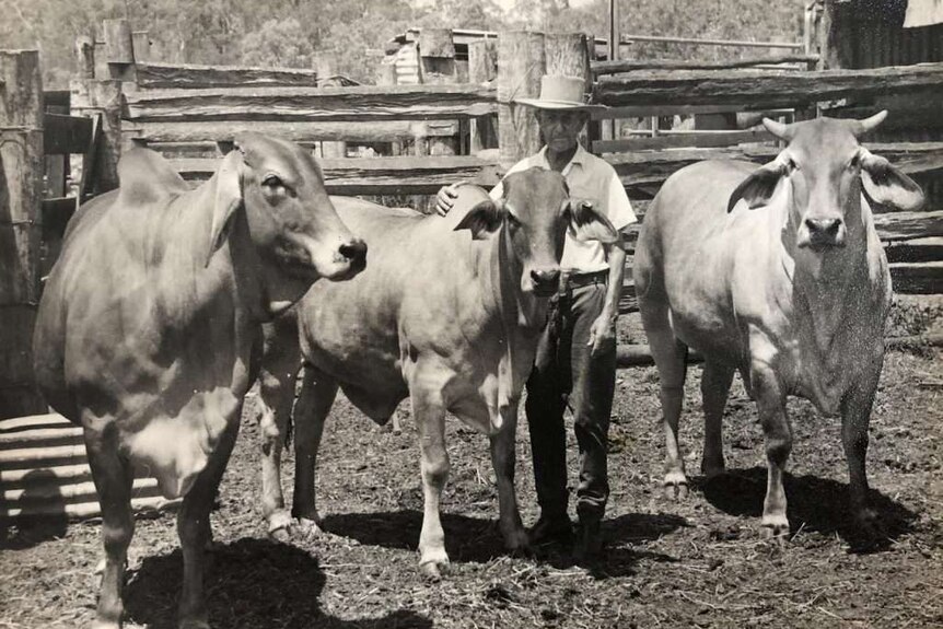 A black and white photo of a man standing with three cows on a farm.