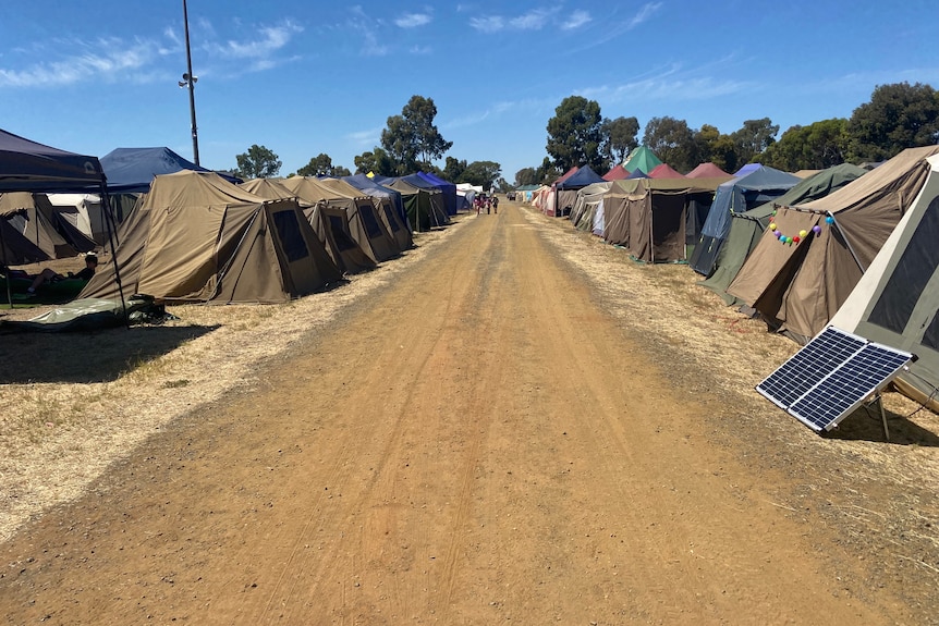 rows of tents