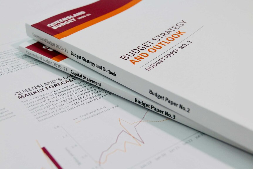 Budget strategy and outlook books on a desk with a market forecast page open