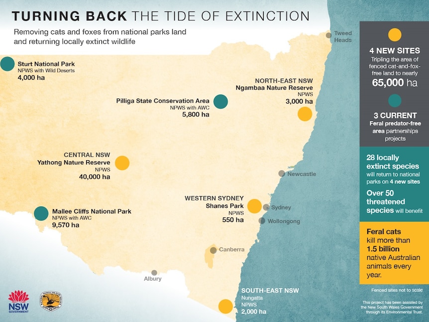 A map of feral free areas in NSW with the title, turning back the tide of extinction.