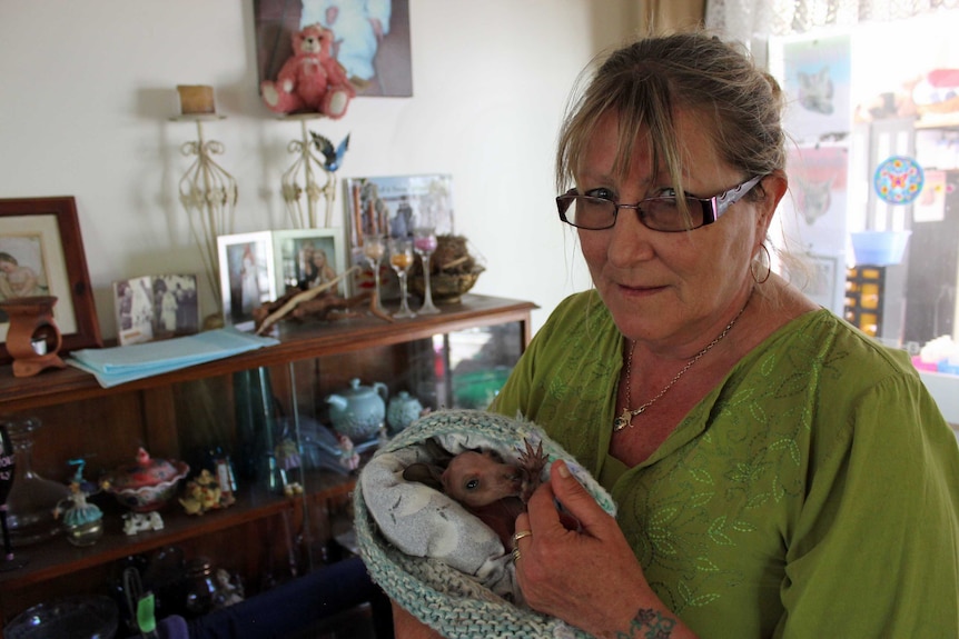 Our Haven Wildlife Shelter owner Theresa Matthews with a joey.