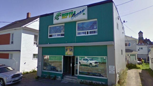 Reptile Ocean in Campbelltown, New Brunswick, where two boys were strangled by an escaped python.