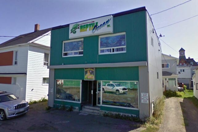 Reptile Ocean in Campbelltown, New Brunswick, where two boys were strangled by an escaped python.