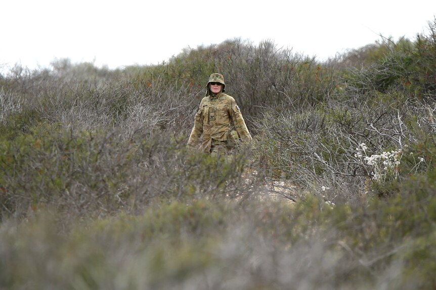 An ADF member in camouflage clothing searches in coastal scrub.