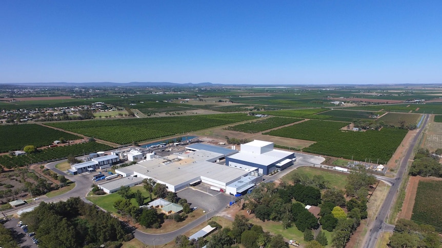 Griffith Baiada chicken factory from the air