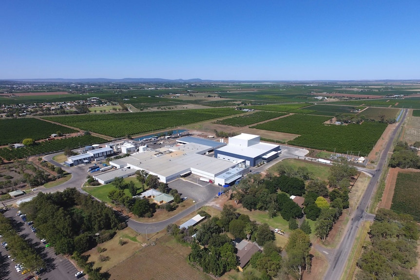 Griffith Baiada chicken factory from the air