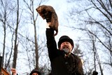 A man in a top hat holds a groundhog high in the air. 