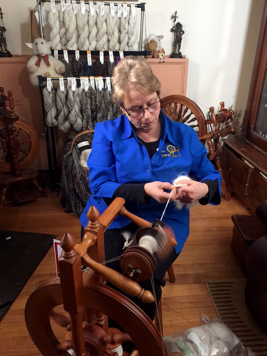 Marion Wheatland spinning husky fur