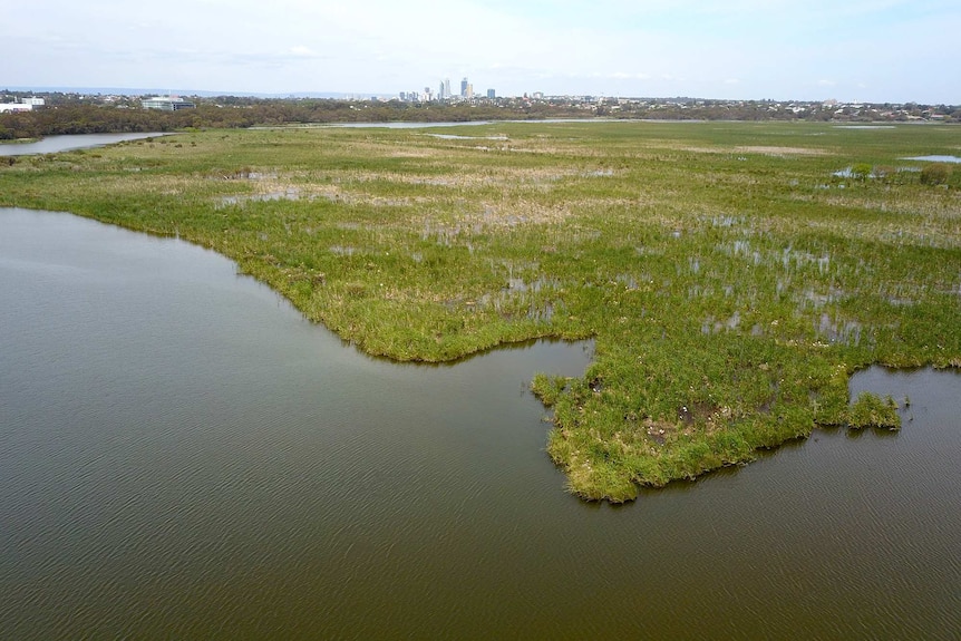 An aerial shot of Herdsman Lake, with the Perth skyline in the background.