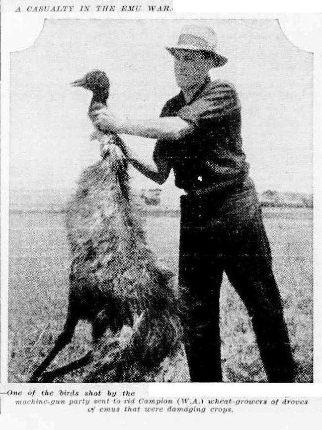 A black and white image of a man holding an emu by the neck.