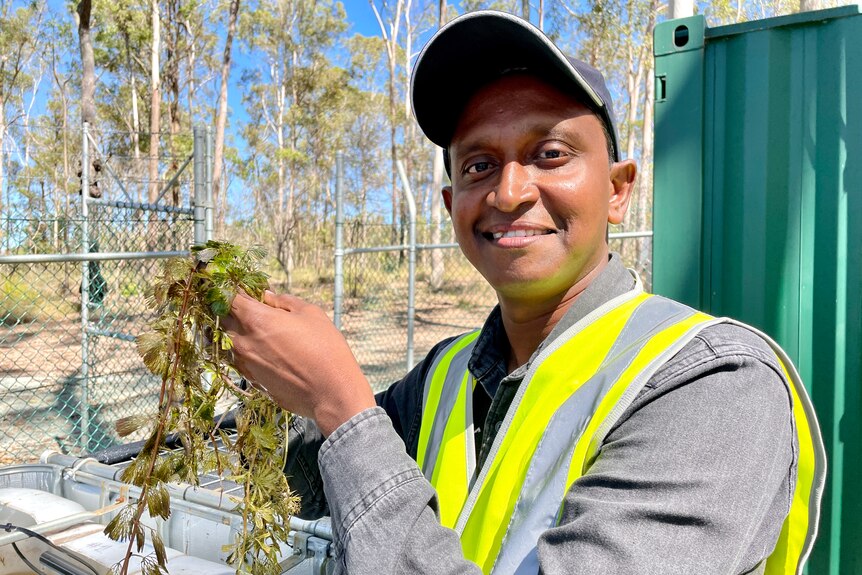 A smiling man in a cap and high-vis vet holds up a water weed.