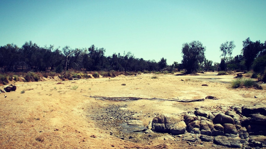 East Murchison region, Western Australia