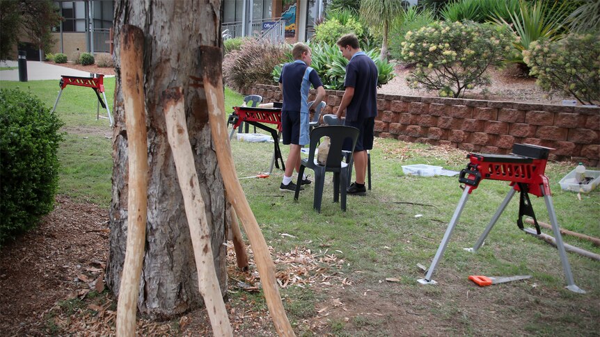 Three didgeridoos dry out against a tree with two students in the background working on a didgeridoo.