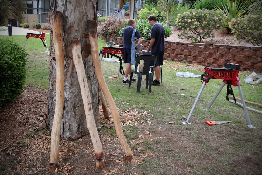 Three didgeridoos dry out against a tree with two students in the background working on a didgeridoo.