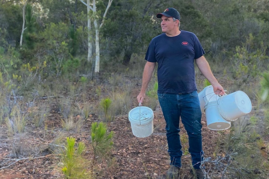 A man carrying white buckets in bushland. 