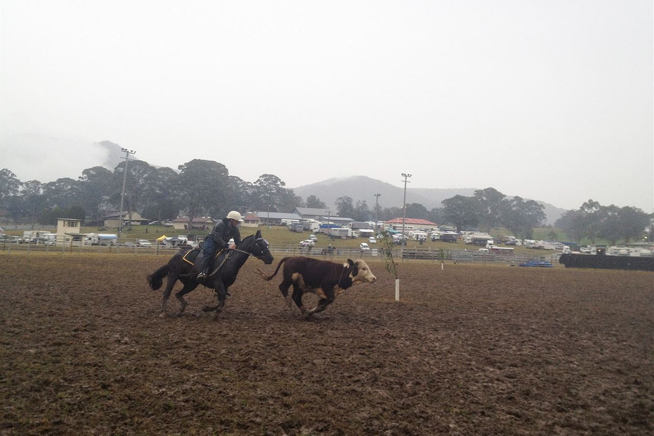 Rodeo attracts hundreds of junior riders - ABC News