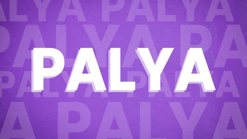 The word 'palya' is written in bold white text with a purple background
