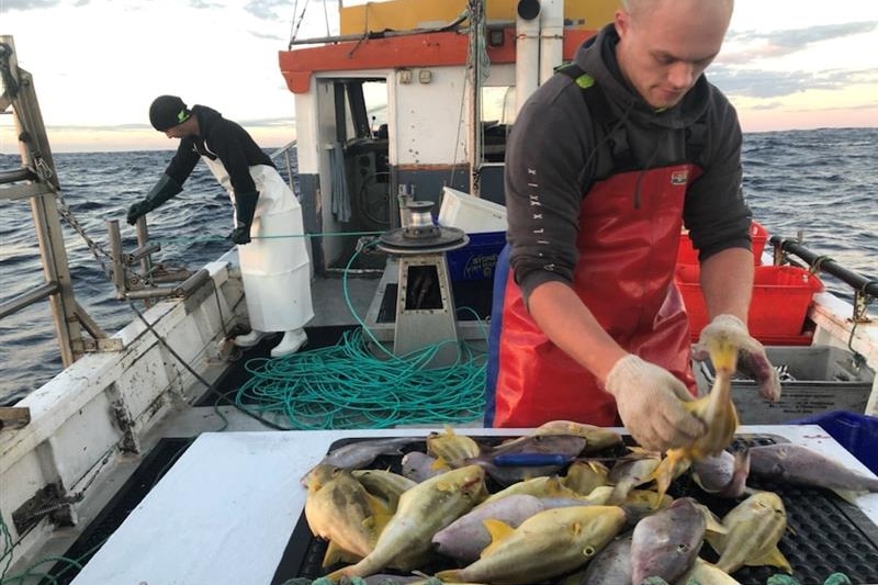 Fisherman on a boat.