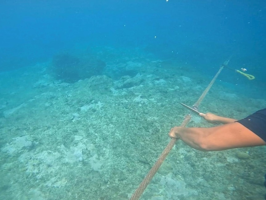 菲律宾海警队员潜水砍断绳索。