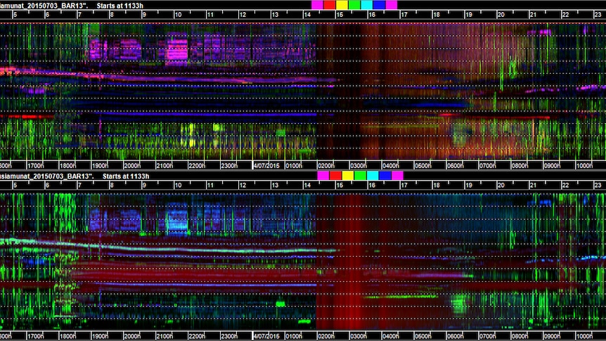 A soundscape from the forests of the remote Adelbert Mountains in Papua New Guinea.