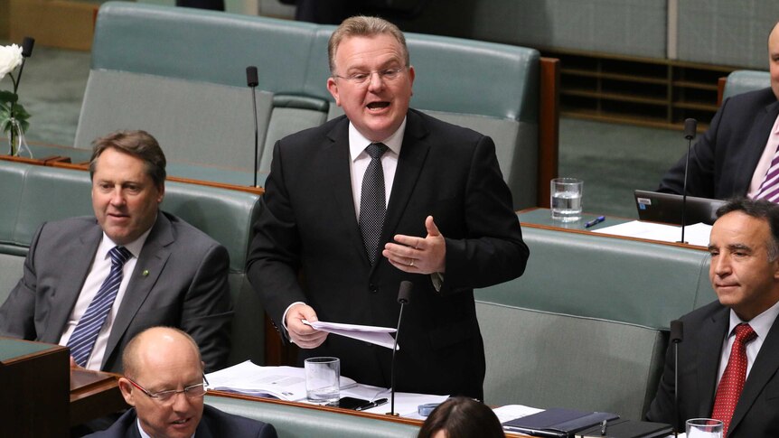 Bruce Billson gestures as he speaks in Parliament.