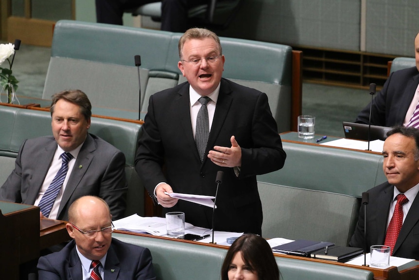 Bruce Billson gestures as he speaks in parliament.