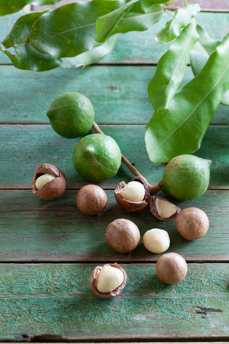 Орех макадамии в скорлупе 300 г (вакуум) - купить в интернет-магазине по низкой 