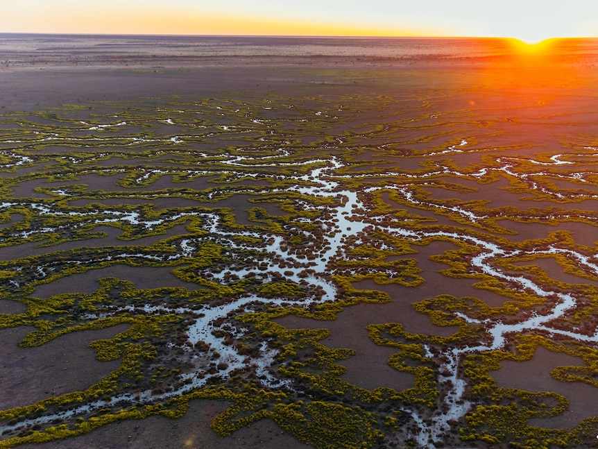 The sun sets on the horizon, revealing channels twisting like veins covering the landscape.