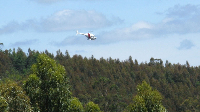 Aerial spraying, timber, Gunns plantation, Lebrina Tasmania