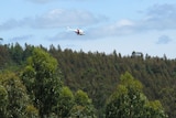 Aerial spraying, timber, Gunns plantation, Lebrina Tasmania