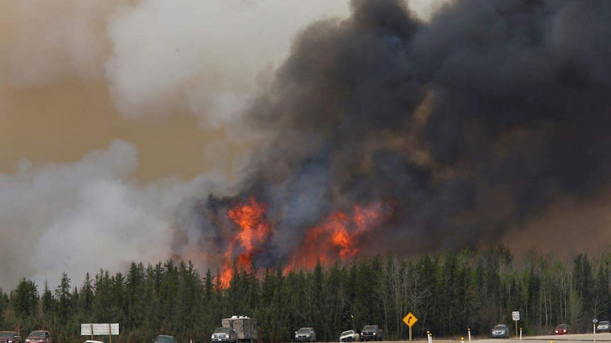 Fire blazes beside highway as cars drive