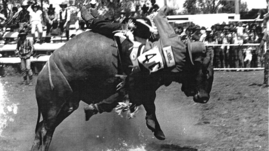 A woman being bucked from a bull