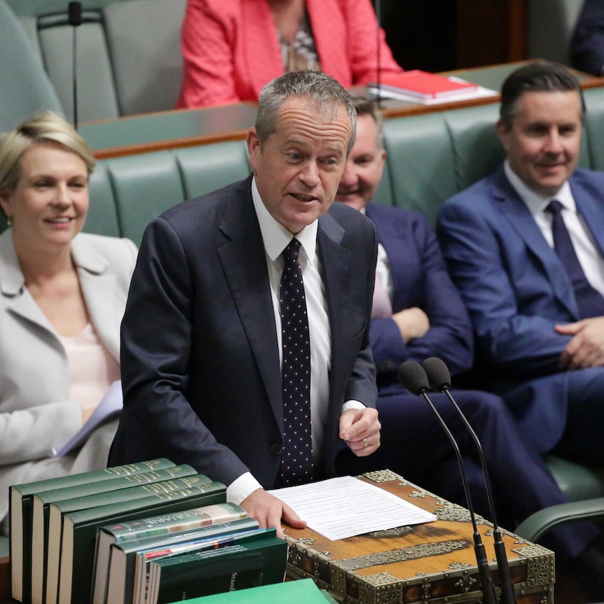 Bill Shorten looking smug asks a question in Question Time
