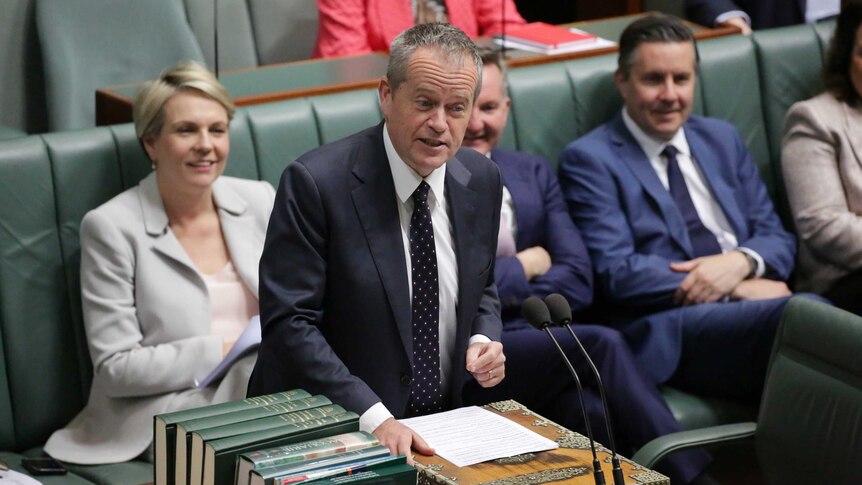 Bill Shorten looking smug asks a question in Question Time