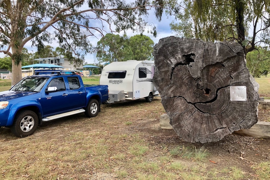 A ute and caravan dwarfed by a huge log.