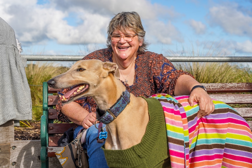 A woman with grey hair pats a large greyhound dog dry with a rainbow coloured towel sitting on a park bench, laughing.