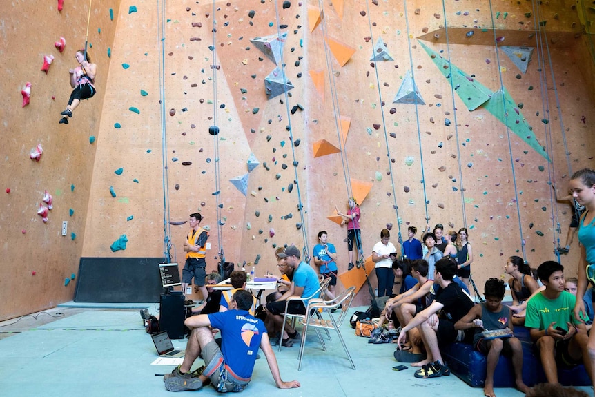 Climbers race to scale a 15 metre-high wall.