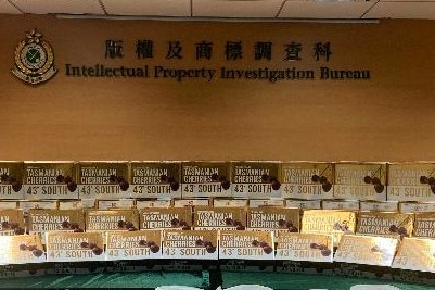 Boxes of cherries stacked in a room under Chinese writing