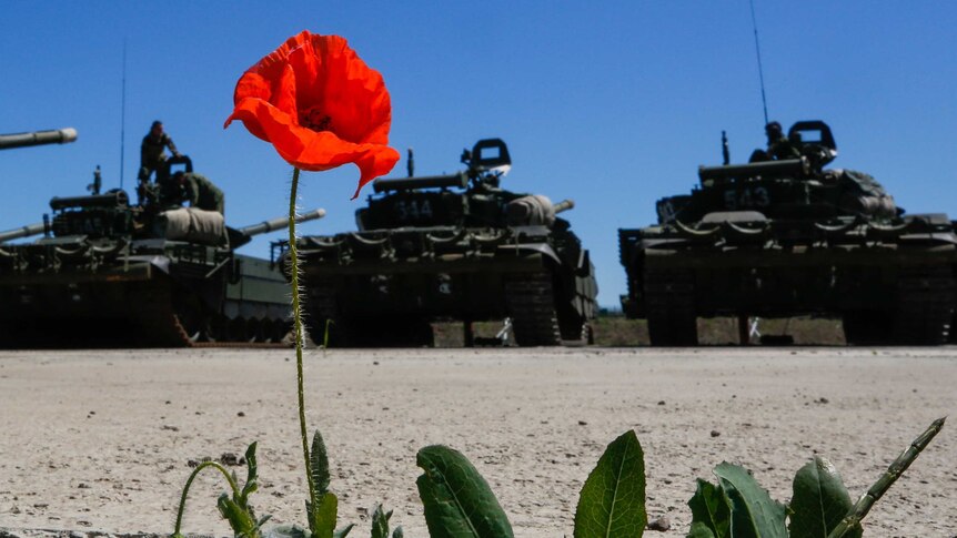 A row of tanks with a red poppy in the foreground.