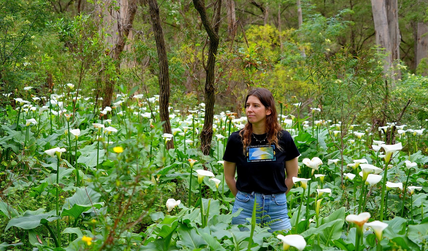 'Beautiful weed' steadily choking landscapes across southern WA