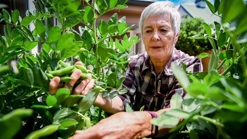 Elisabeth Goldsmith regularly eats the produce from the garden as part of the trial.