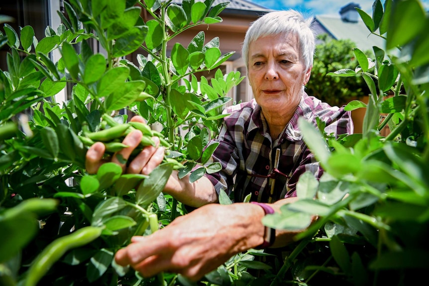 Elisabeth Goldsmith regularly eats the produce from the garden as part of the trial.