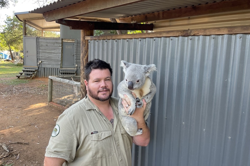 A smiling man holding a koala next to a row of tin fenced timber cottages.