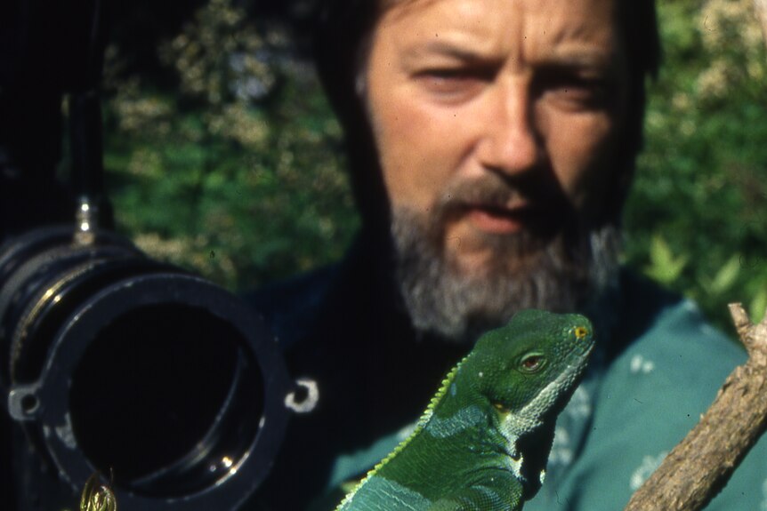 A man with a camera takes a photo of a green lizard in a tree.