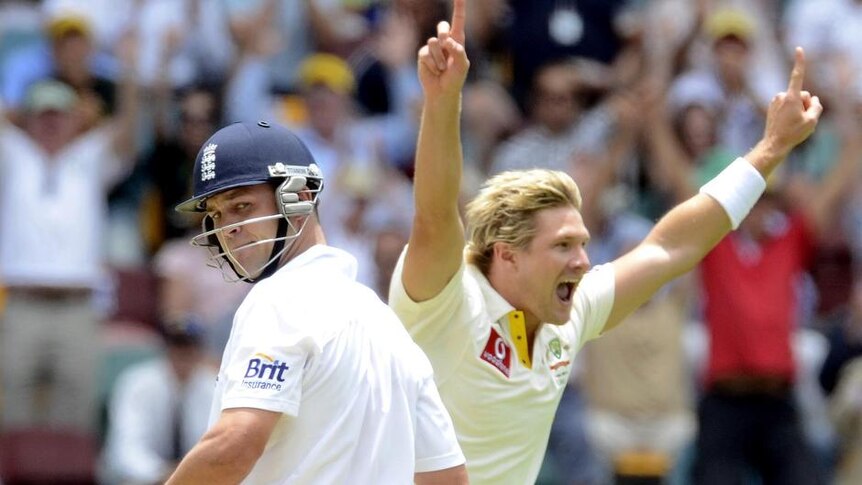 Shane Watson celebrates the wicket of Jonathan Trott, bowled for 29 at the Gabba.