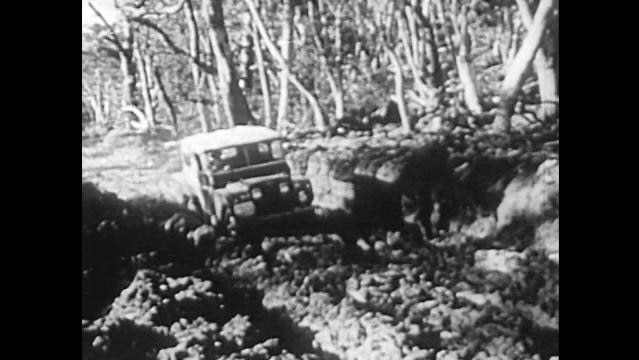 Old photo of 4wd vehicle driving through forest
