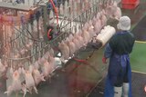 Chicken processing