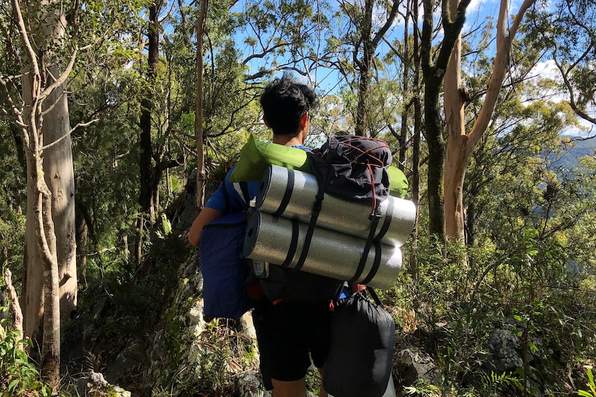 A man is seen with camping gear and a pack on his back walking through a forest.