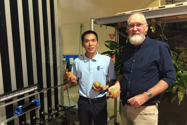 Two men stand in front of a three meter tall rectangular robot. Each man is holding mangoes.